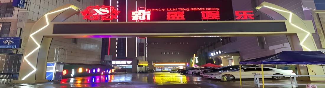 最新洞察